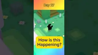 Who wants a Shiny Ponyta?#pokemon