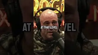 Why Head Kicks Are So Dangerous