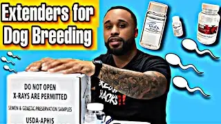 Understanding Extenders for dog breeding!