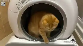 Smart Cat Litter Box Review | Fully Automatic Self-Cleaning Cat Toilet with App Control