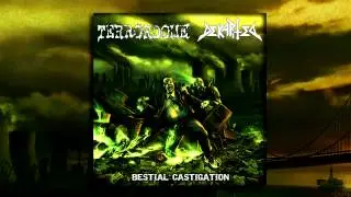 Terrordome - 02 - The Final Regret (Bestial Castigation, 2012)