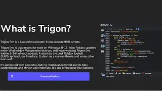 GETTING TRIGON EVO  EXECUTOR TUTORIAL