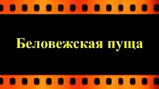 Ансамбль  