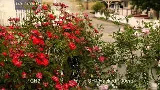 Quick test 100mb hacked GH1 firmware vs Gh2