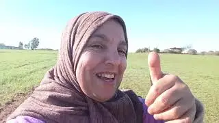 صباح الخير وسعادة لكبيدات ربي اسهل امركم