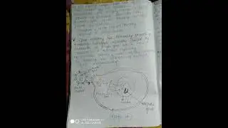 GENE THERAPY@mind_warehouse ZOOLOGY HANDWRITTEN NOTES
