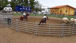 finale ranch sorting sdwa lucky ranch 2017