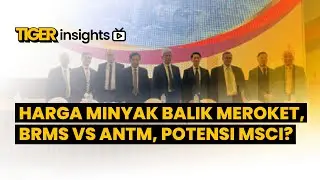 LIVE! Minyak Balik Meroket, Emiten yang Menarik? BRMS VS ANTM, Prospek Masuk MSCI? | TIGER INSIGHTS