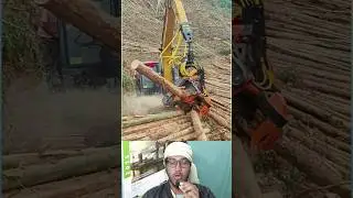 Huge Tree Log Cutting System | Perfect tree cutting machine 🌲 #shorts #forestry #log #viralshorts