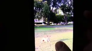 Camera Burst Shot - Samsung Galaxy S3 S4 Note - Tips and Tricks
