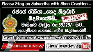 Government Nursing Jobs | Shan Creation | Latest Jobs | SL Jobs | Vacancy | Job | KDU | Nursing Jobs