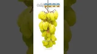 #viral#trending#growth #creadit amazing tube#scroll with Rashmi#shorts