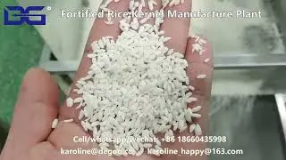 India 500kg/h 1000kg/h Fortified rice kernels manufacturing plant Nutritional Rice production line