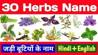 30 herbs name english to hindi, जड़ी बूटियों (औषधियों) के नाम, herbs name, uses, benefits, in hindi