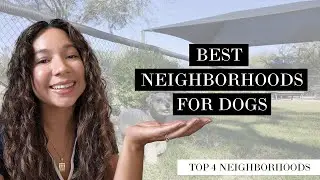 Moving With a Dog? These Are the Best North Phoenix Neighborhoods!