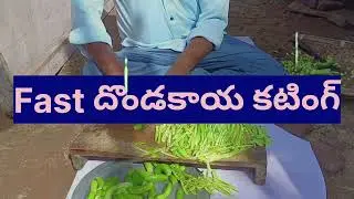 Knife Skills Super Fast Vegetable Cutting Skills Awesome Fast Workers