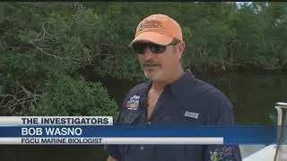 What happens to abandoned boats in Florida?