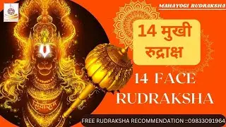 14 MUKHI RUDRAKSHA BENEFITS  | 14 मुखी रुद्राक्ष  #fourteenfacerudraksh #mahayogirudraksha #rudraksh