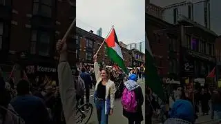 Free Palestine #short #shorts #shortvideo #freepalestine #freepalastine #freedom #stopwar #canada