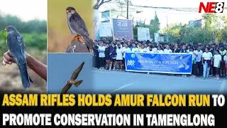 ASSAM RIFLES HOLDS AMUR FALCON RUN TO PROMOTE CONSERVATION IN TAMENGLONG, MANIPUR