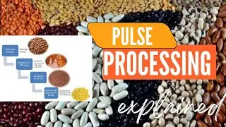 Pulse processing. Process to make dhal in mill. Milling technology