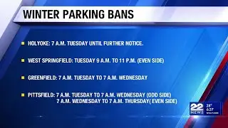 Snowstorm leads to parking bans
