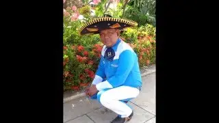 lo mejor de Rafael Hernandez la sal en la herida