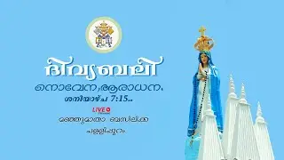 Daily Holy Mass,Novena,Adoration  31/01/2026 @7.15AM From Manjumatha Basilica Pallipuram