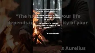 Great Quotes №13 Marcus Aurelius Philosophy #quotes #philosophy #tiktok #life