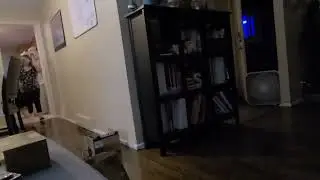 Hocus Pocus Attack. By Kaitlynn, Starring Rueben, Dominic, Bobby, & Danny (June 24, 2021)
