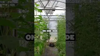 Keep Your Crops Rotated