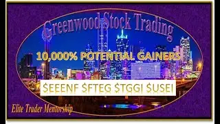 $EEENF 10,000% Potential Stocks $FTEG $TGGI #USEI