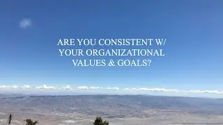 Are you consistent with your organizational values and goals?