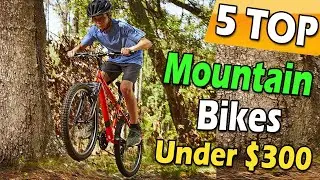 Best Mountain Bike Under $300