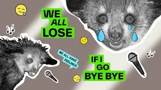 I Do Aye-Aye | Animals in Therapy | On the Edge