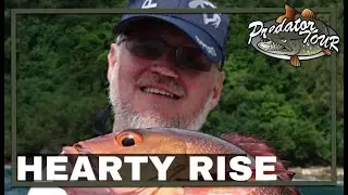 INTERVIEW WITH JOSEF SCHMID - HEARTY RISE RODS | Premium partner PredatorTour 2024