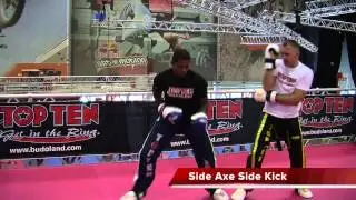 Jamal Albini and Zvonimir Gribl: Attack and Defense Techniques