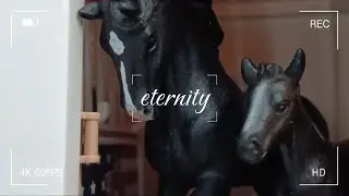 Eternity ~ Schleich Horse Music Video