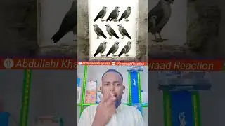 Indhaha kugu yal hadii ay caafimaad qaban wa in ad sheegtaa tirada shimbirahan hadii kale indhahaada