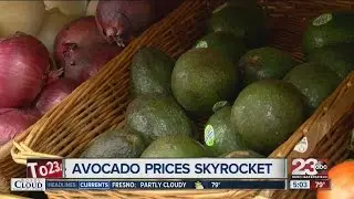 Avocado shortage