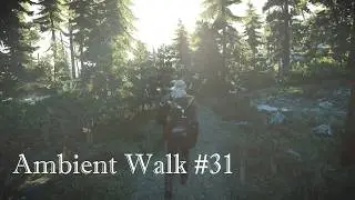 The Witcher 3 Ambient Morning Walk in Skellige Harviken