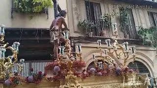 Hermandad del Sol. Sábado Santo 2025.