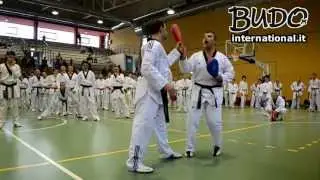 Carlo Molfetta - Stage Taekwondo - Cosa fare e non fare nel Taekwondo (Milano Giugno2013)