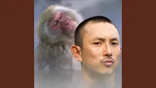 Monkey Never Cramps