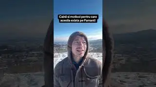 Cainii si motivul pentru care acestia exista pe Pamant! 