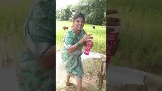 భయమెందుకు