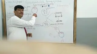 Gene Knockout technology