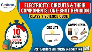Class 7 Science Chapter 3 | Electricity: Circuits and Their Components | Quick Revision I Ceibaa