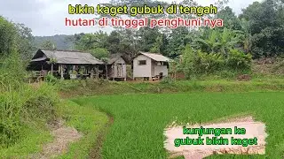 Bikin kaget berkunjung ke gubug tak ada penghuni nya