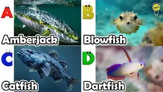 Sea animals for kids | ABC phonics animals | ABC Sea Animals song | English and Animals for Kids